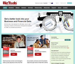 BizTools Analytics